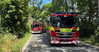 Call for people to join 'dedicated' fire services team