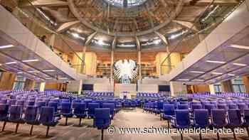 Reform des Wahlrechts greift: Calwer CDU-Abgeordneter sieht  Gefahr für die Demokratie