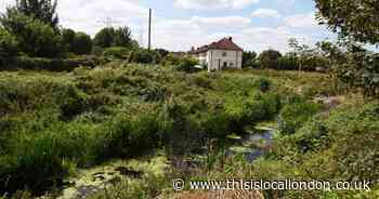 'The River Roding is being threatened by negligence'