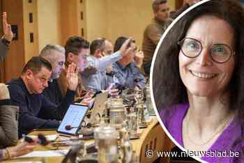 KAART. Een vetpot is het niet: zoveel verdient een raadslid in jouw gemeente