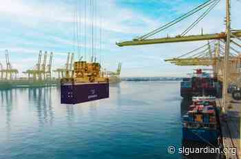 DP World Achieves Record Growth Despite Red Sea Disruptions