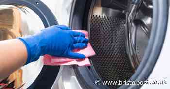 Simple two-ingredient trick for eliminating odours in washing machines