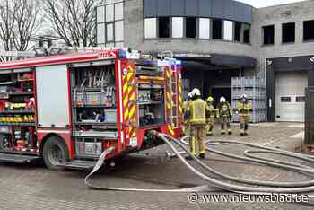 Heropflakkering industriebrand bij vleesverwerkend bedrijf in Schoten: “Opnieuw rook zichtbaar”