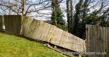 Which neighbour is responsible for paying for garden fence repairs? How to check