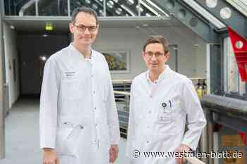 Prof. Dr. Florian Willecke leitet Sektion Angiologie