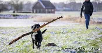 Winters weer blijft nog even: volgend weekend mogelijk -7 graden