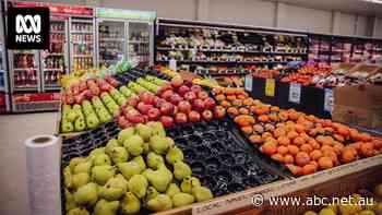 Albanese promises to lock grocery prices in remote stores to city prices