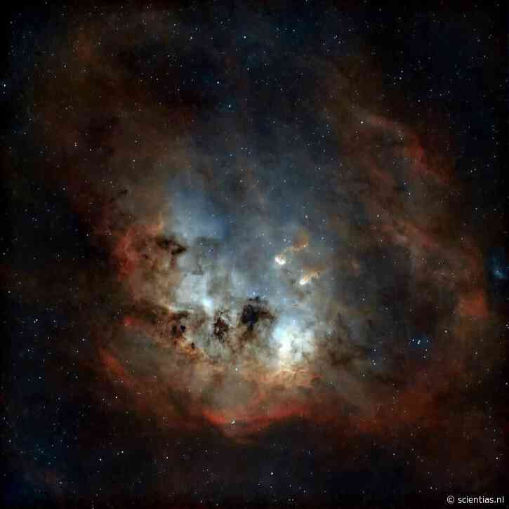 Bewonder deze schitterende foto van de Tadpole nevel – en maak kennis met de fotograaf!