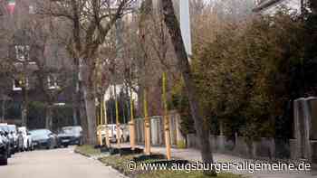 Bürger fordern mehr Baum-Nachpflanzungen in der Innenstadt