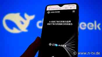 "Gewinnmarge sinkt für alle": So fährt Chinas Deepseek US-Techriesen in die KI-Parade