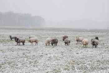 Komende week kouder met lokaal kans op sneeuw