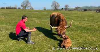 Family farm visitor attraction less than 20 miles from Newcastle crowned best in the country