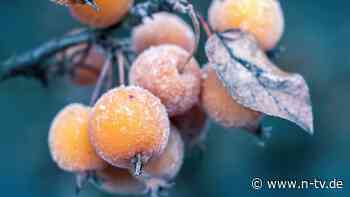 Der Frühling naht: So gelingt der Start ins Gartenjahr