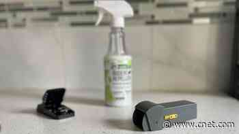 Can Peppermint Spray Keep the Mice Away?