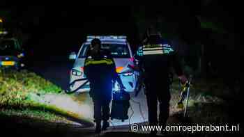 112-nieuws: volkstuintjes omsingeld • kat uit boom gered