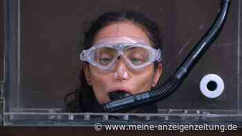 Lilly Becker holt sich die Krone im RTL-Dschungelcamp