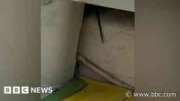 Mice have driven us out of home, says pregnant mum