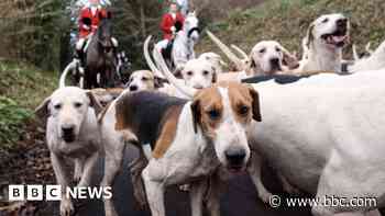 Countryside prepares for another hunting battle