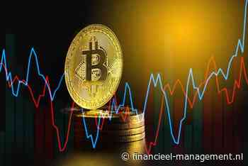 ‘Bitcoin is over tien jaar niets meer waard’