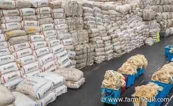 Heightened demand for wool sees auction prices rise by 25%