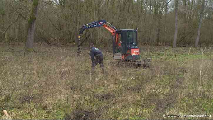 Almere - 45.000 bomen en struiken geplant om bossen te herstellen
