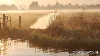 Vaartocht met fluisterboot door de verstilde natuur van het Ilperveld