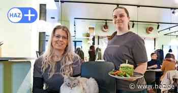 Katzentempel Hannover: Das sagen die Betreiberinnen zur Schließung