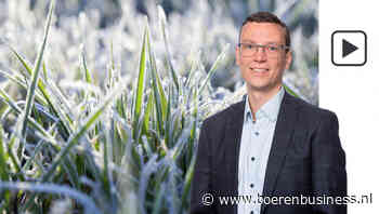 Waarom de tarweprijs rare sprongen kan maken