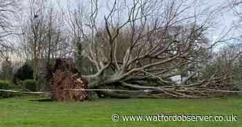 On this day: Storm Ciara leaves trail of destruction across Hertfordshire