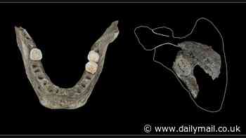 Ancient warriors celebrated victory by eating their enemies' BRAINS, grisly study reveals