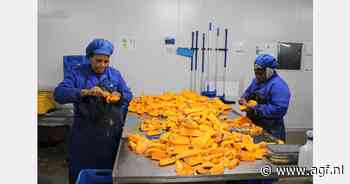 "Als je geen waarde toevoegt aan flespompoen, waarom zou je het dan onbeperkt blijven planten?"