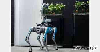 AI-robot automatiseert aardbeienoogst met precisie