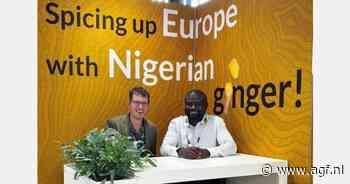 Nigeriaanse gemberexporteurs pakken marktbelemmeringen aan met CBI-steun