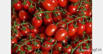 Nederlandse staat naar Europees Hof om FresQ-miljoenen