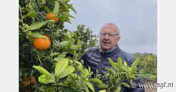 Overlijdensbericht Wim de Graaf sr