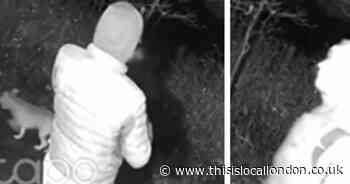 Woman taken to hospital after dog attack in Primrose Hill