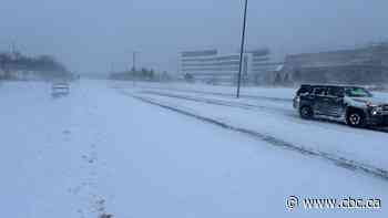 'Good old fashioned blizzard' hits Avalon Peninsula, with schools closed, flights cancelled