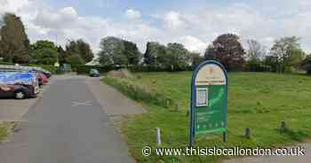 Festival organisers want to bring more events to Hornchurch park