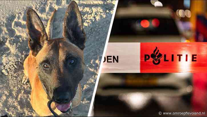 Almere - Politie schiet bij achtervolging inbrekers Almere Poort, honden ingezet bij aanhouding