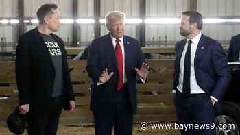 Vance and Musk question the authority of the courts as Trump's agenda faces legal pushback