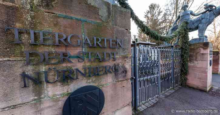 Keine Vogelgrippe-Fälle im Nürnberger Tiergarten