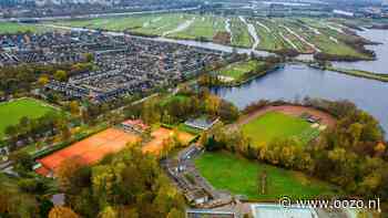 Schommel voor volwassenen in sportpark Landsmeer: goed voor krachttraining en valpreventie