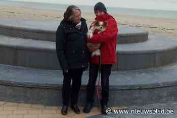 Herman en Rita vinden na tip eigenaar van rottweiler die hondje Billy net niet doodbeet: “Dankzij artikel in de krant”