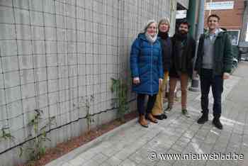 OLV Presentatie brengt kleur aan schoolgebouw met geveltuintjes: “We willen de stad in sneltempo vergroenen”