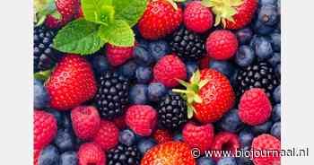 Proefcentrum Pamel Vlaanderen sluit eind 2025 de deuren