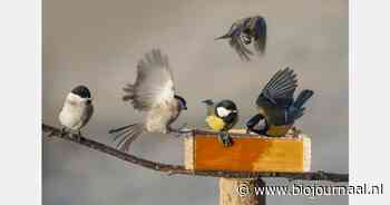 Bewustwordingscampagne rond biologisch vogelvoer