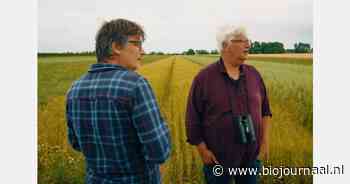 Boer én ecoloog enthousiast over productieve (BAM-)akkers boordevol insecten en vogels