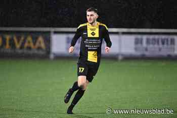 Standaard Denderleeuw haalt broers Suma en gaat ook shoppen bij KVK Ninove B