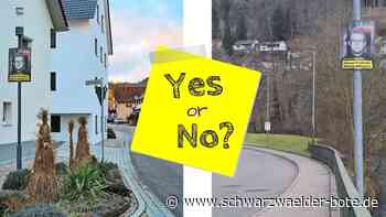 Kurioses vor der Wahl: Warum die Stadt Wildberg FDP-Plakate abgehängt hat