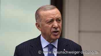 Trump will Gaza besitzen – jetzt reagiert auch Erdogan
